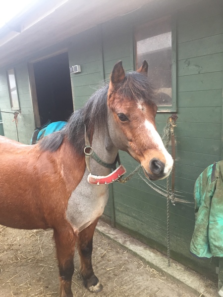 Can't believe what I have just witnessed