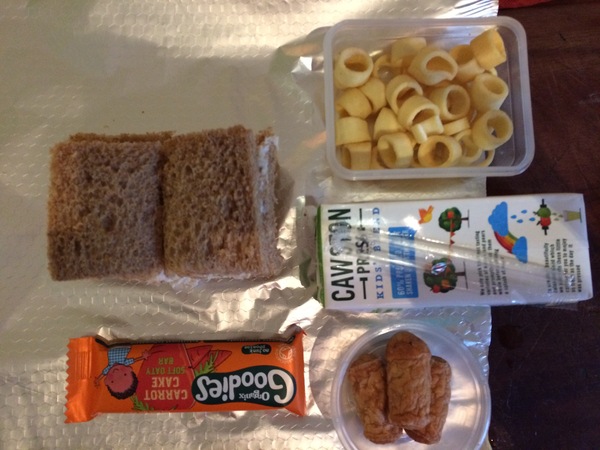 AIBU to ask to see your dcs REAL packed lunches
