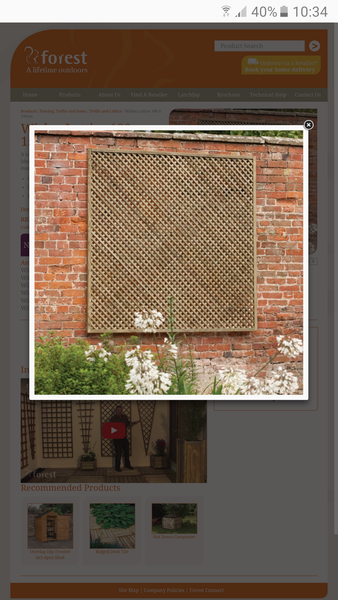 What can I grow on a fence to act as a privacy screen?