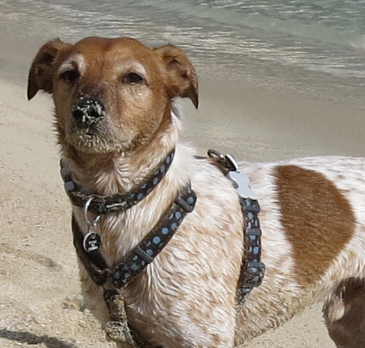 At the beach today - just for fun