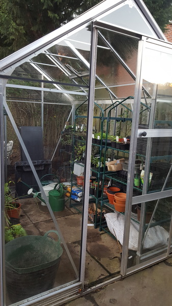 Allotment/Veg Patch - Thread 7 - The Harvesters Arms