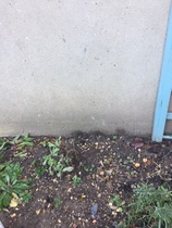 french drain specialist in london