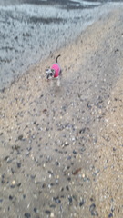 At the beach today - just for fun