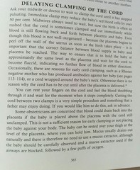 May 2017 #7....... Final months, rapidly growing bumps