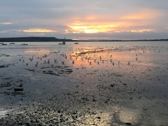 Brave Babes - Barging through 2017 in style