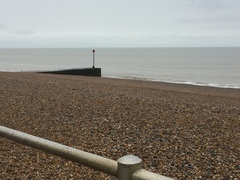 Brave Babes - Barging through 2017 in style