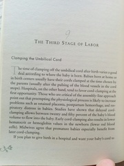 May 2017 #7....... Final months, rapidly growing bumps