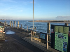 Brave Babes - Barging through 2017 in style