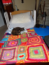 Zombie has her hospital bed so the Phalanx had a sleep over.