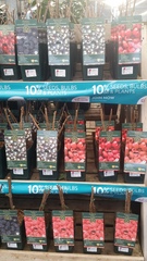 Allotment/Veg Patch - Thread 7 - The Harvesters Arms