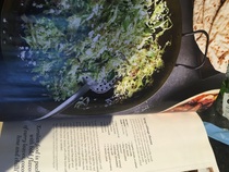 Springing into the New Year with the 2017 Frugaleers