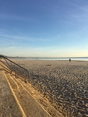 To not want to go walking on beaches in the middle of January?