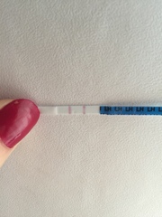 Positive opks every day! PCOS