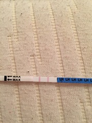 Please reply! Are these positive?