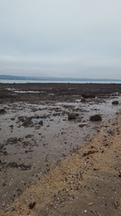 At the beach today - just for fun