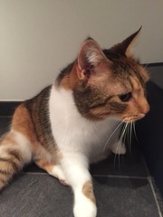 Frugaleers, keeping their frugal resolutions in the new year. Keep on, erm, resoluting!?