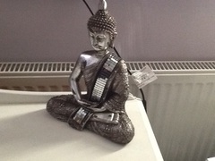 Springing into the New Year with the 2017 Frugaleers