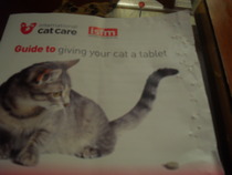 Is my kitten right in the head?