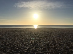 To not want to go walking on beaches in the middle of January?