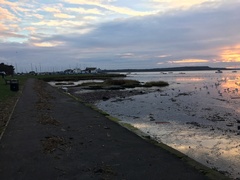 Brave Babes - Barging through 2017 in style
