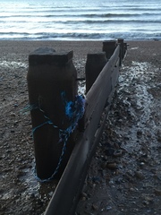 Brave Babes - Barging through 2017 in style