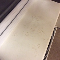 To report my neighbour because of their intruding cat!