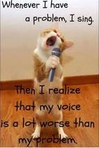 WIBU to say that choirs full of people who can't sing (Rock Choir) are awful?