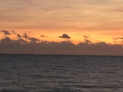 Brave Babes...braving the Autumn
