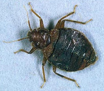 ..to let the bed "air"