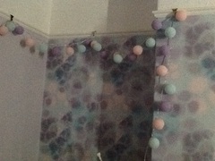 Springing into the New Year with the 2017 Frugaleers