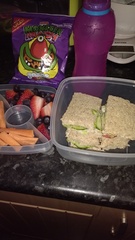 AIBU to ask to see your dcs REAL packed lunches