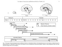 Transgender Documentary on BBC2 Thursday 2100 "Transgender Kids: Who Knows best?"