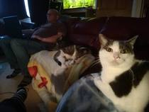 To think the cat wants to kill us?