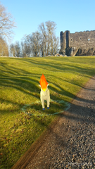 Pokemon Go #6: Where pokemon babies are abandoned in gyms at freezing temperatures