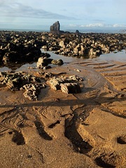 To not want to go walking on beaches in the middle of January?