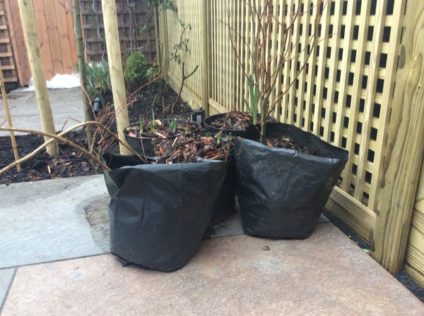 What can I do with ugly tiny paved yard?