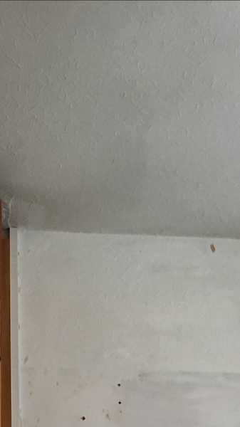 Is this Artex?