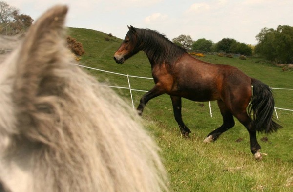 Ditch The Foundation, Embrace Some Fantastic Skincare Instead!