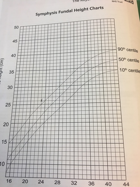 May 2017 #7....... Final months, rapidly growing bumps
