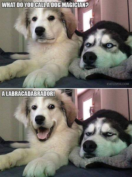 To ask for your best-bad jokes