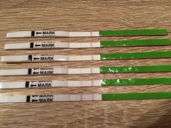 Positive OPK?