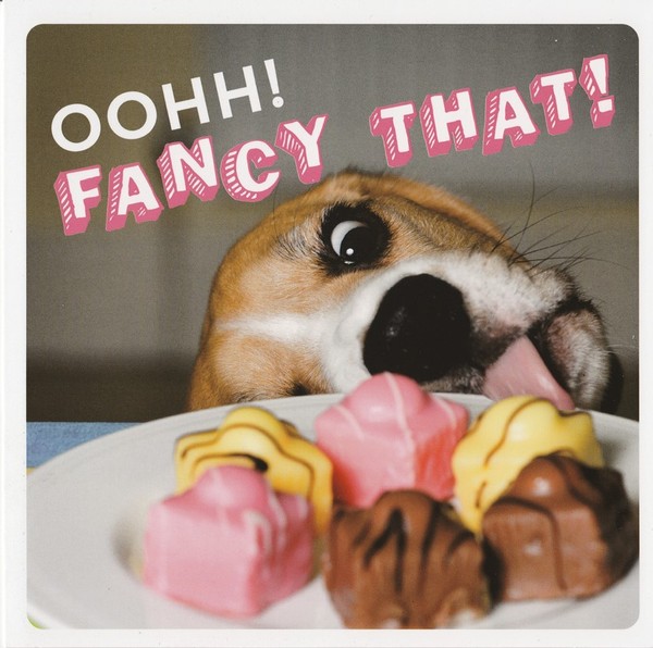 Swagger Inn 143 - It's Still Cold - Oh Musketeers Keep The Wenches Warm