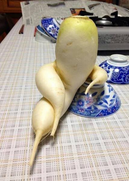 AIBU or does my carrot resemble a penis.