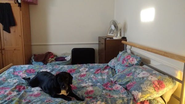 ...to see what your (master) bedroom looks like?