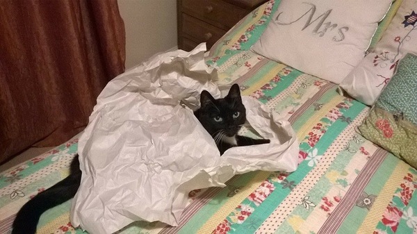 #makeithappen TTC through Donor IUI or Donor IVF or just undecided – all welcome!  Thread #6