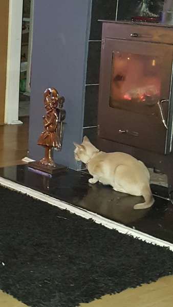 Why do I have to sit so far from the fire?