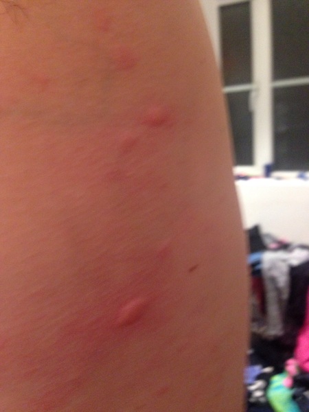 Can you tell me what these are please?