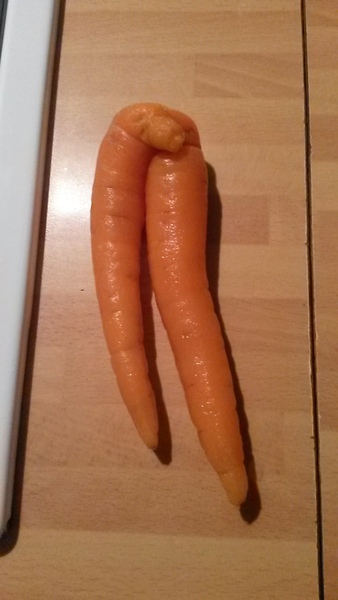 AIBU or does my carrot resemble a penis.
