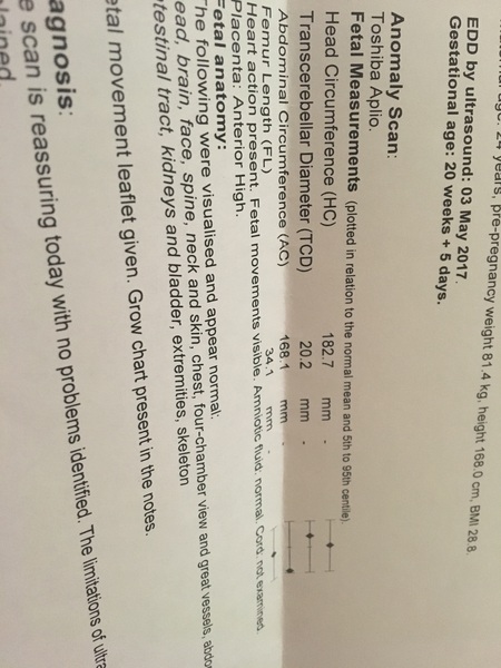 May 2017 #7....... Final months, rapidly growing bumps