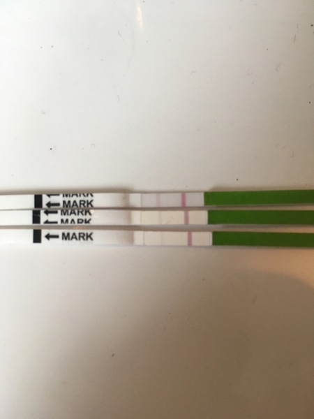 Help! Clomid and OPK!